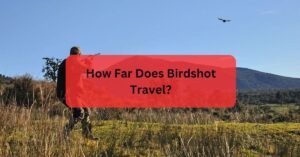 How Far Does Birdshot Travel?