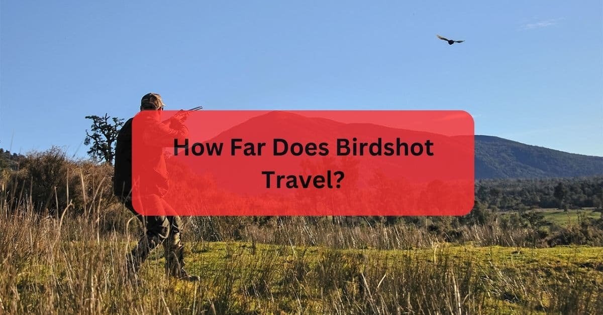 How Far Does Bird Shot Travel: Insights for Enthusiasts and Travelers