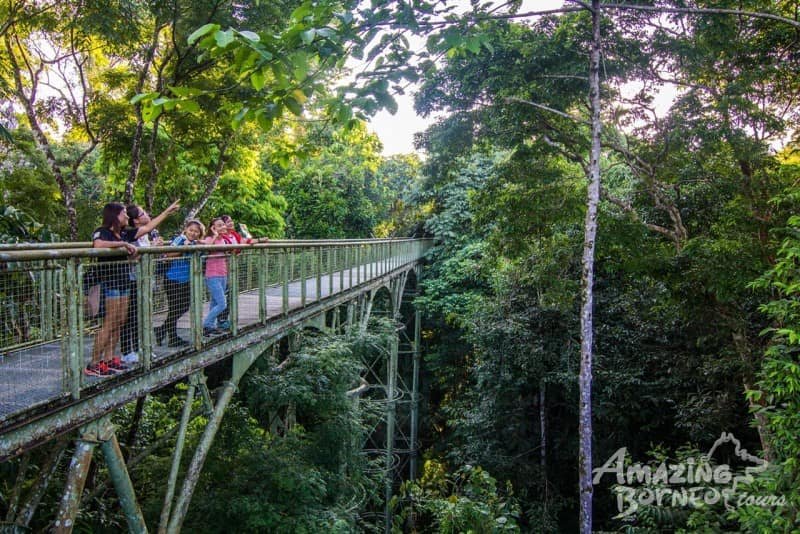 Top Destinations In Borneo To Visit 