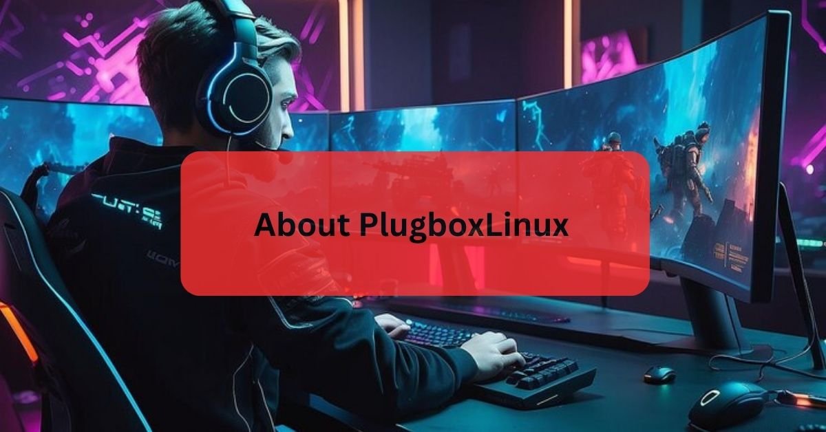 About PlugboxLinux