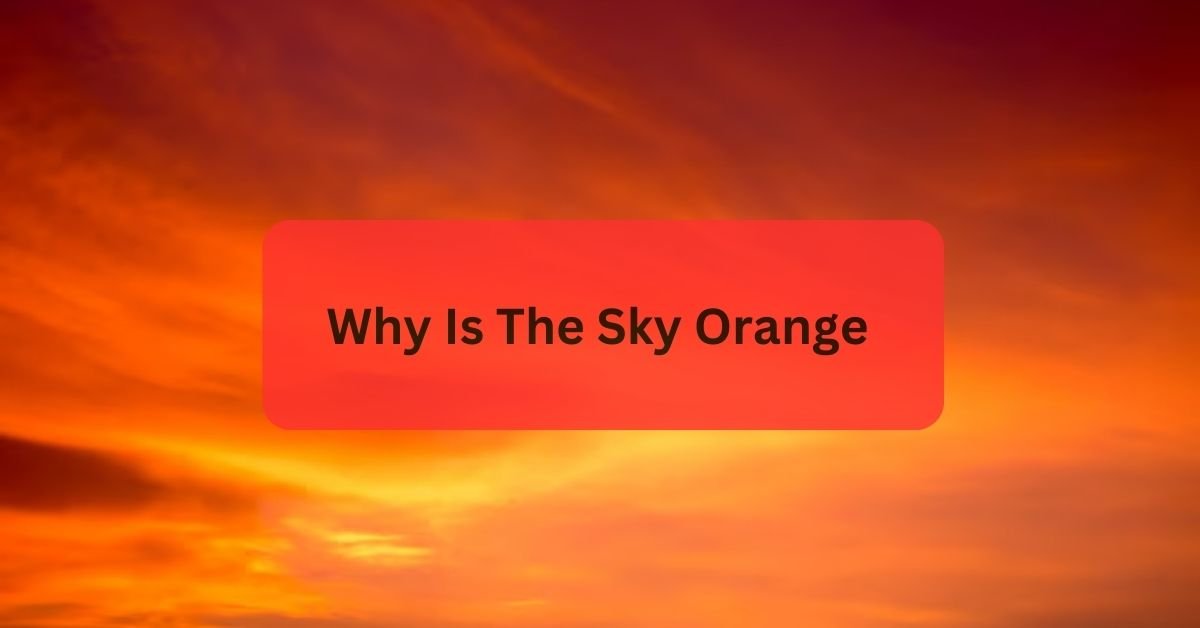 Why Is The Sky Orange