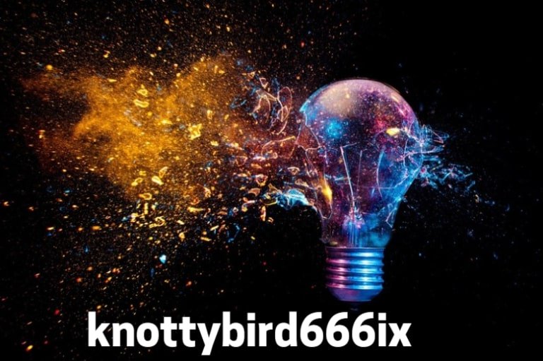 Why does Knottybird666ix matter culturally