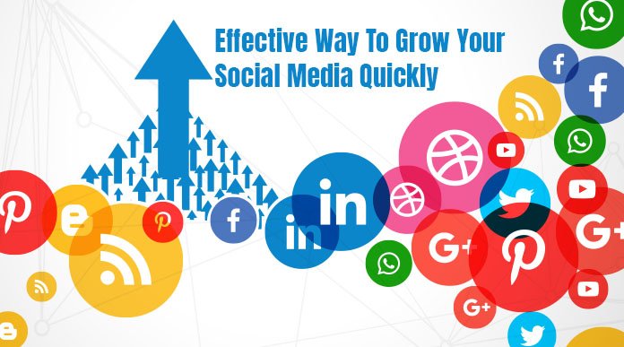 How Can Bounce Media Group’s Social Media Strategies Be Applied to Your Own Business?