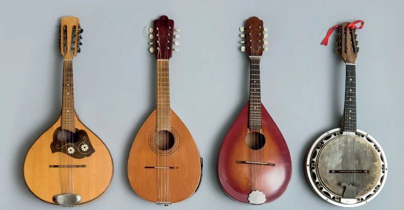 What Role Does The Mandolin Play In Bluegrass?